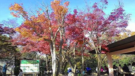 P_20141117_112625_NT.jpg P_20141117_112625_NT.jpg