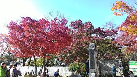 P_20141117_112627_NT.jpg P_20141117_112627_NT.jpg