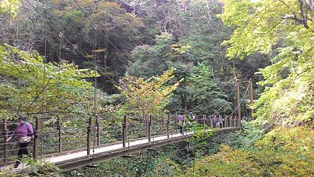 P_20141117_120332_NT.jpg P_20141117_120332_NT.jpg