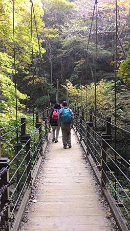 P_20141117_120223_NT.jpg P_20141117_120223_NT.jpg