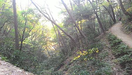 P_20141117_120809_NT.jpg P_20141117_120809_NT.jpg