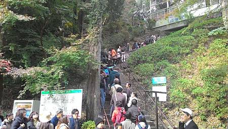 P_20141117_123920_NT.jpg P_20141117_123920_NT.jpg