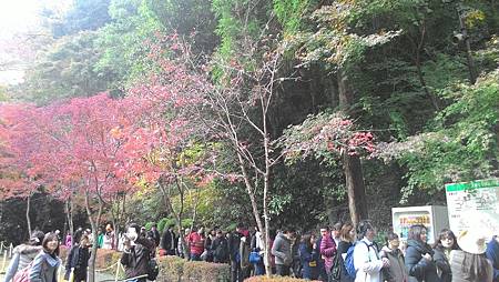 P_20141117_123924_NT.jpg P_20141117_123924_NT.jpg