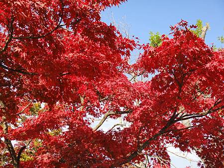 DSC06024.JPG DSC06024.JPG