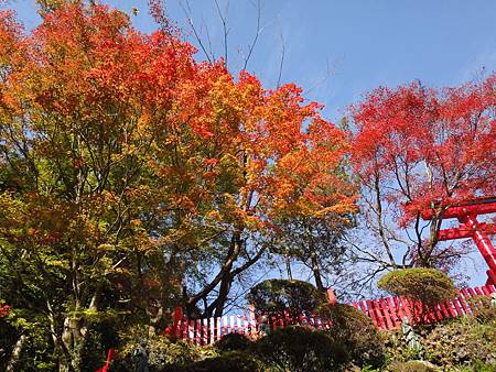 DSC06005.JPG DSC06005.JPG