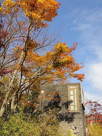 DSC06027.JPG DSC06027.JPG