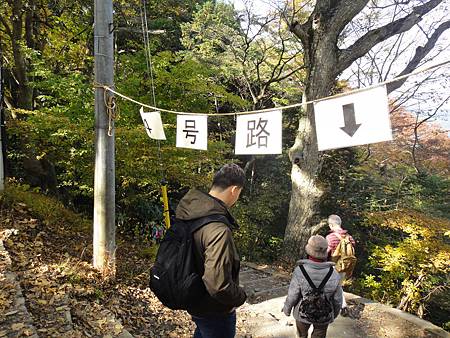 DSC06031.JPG DSC06031.JPG