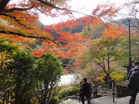 DSC06060.JPG DSC06060.JPG