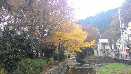 P_20141117_131921_NT.jpg P_20141117_131921_NT.jpg