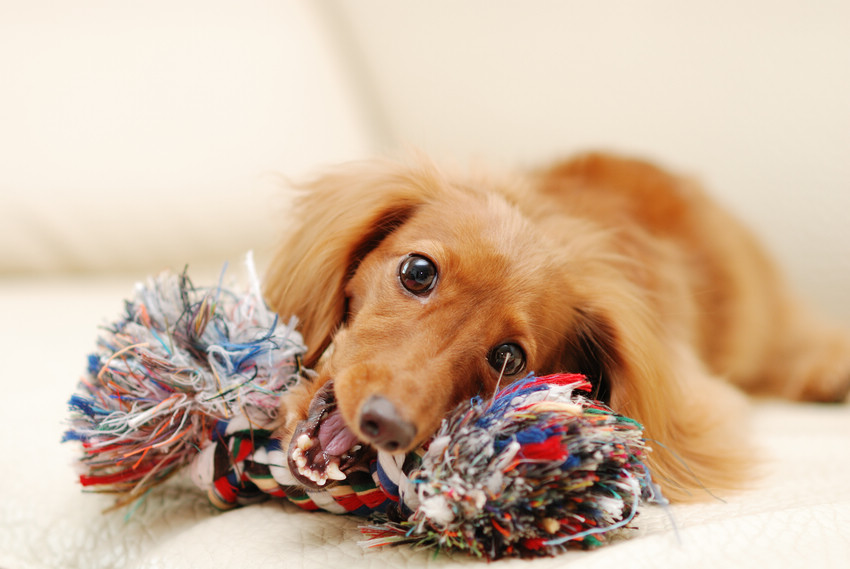 DSC_2352.jpg DSC_2352.jpg