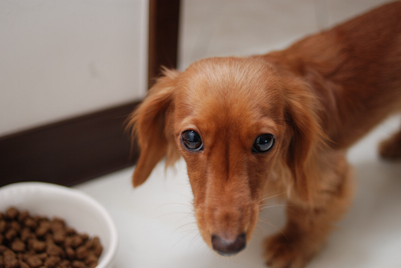 DSC_8461.jpg DSC_8461.jpg