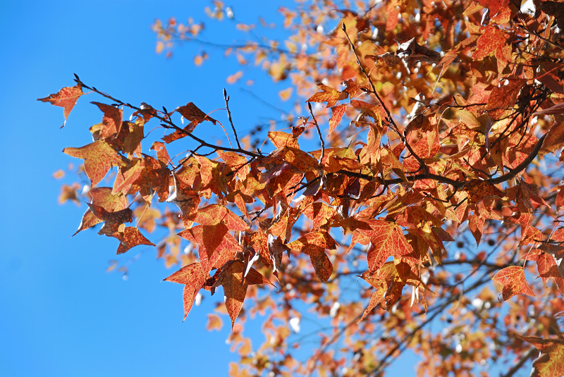 DSC_8949.jpg DSC_8949.jpg