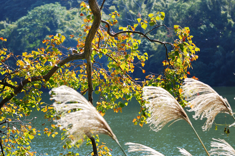 DSC_8974.jpg DSC_8974.jpg