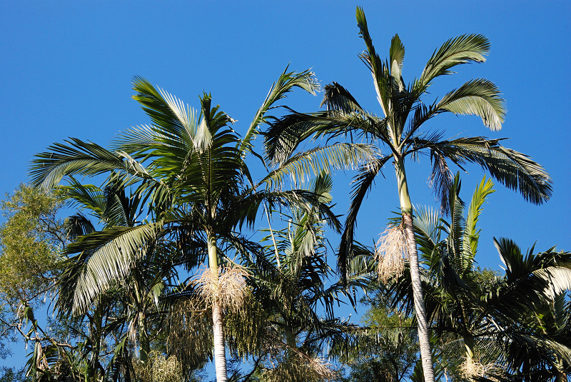 DSC_8993.jpg DSC_8993.jpg