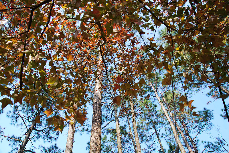 DSC_9046.jpg DSC_9046.jpg