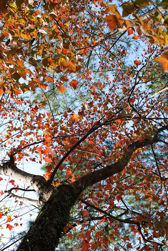 DSC_9047.jpg DSC_9047.jpg