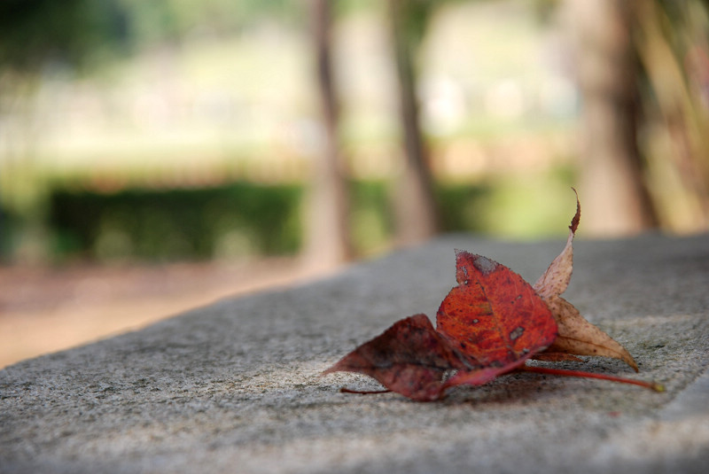 DSC_9048.jpg DSC_9048.jpg