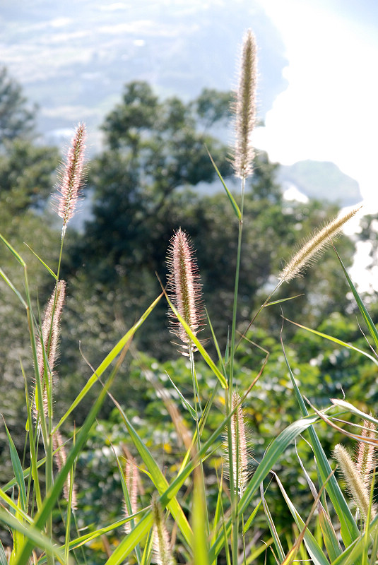 DSC_9074.jpg DSC_9074.jpg