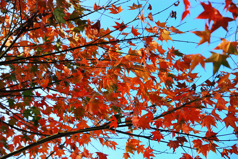 DSC_9095.jpg DSC_9095.jpg