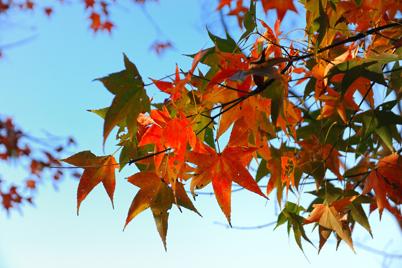 DSC_9096.jpg DSC_9096.jpg