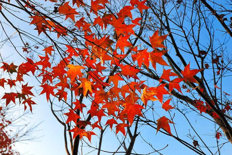 DSC_9099.jpg DSC_9099.jpg