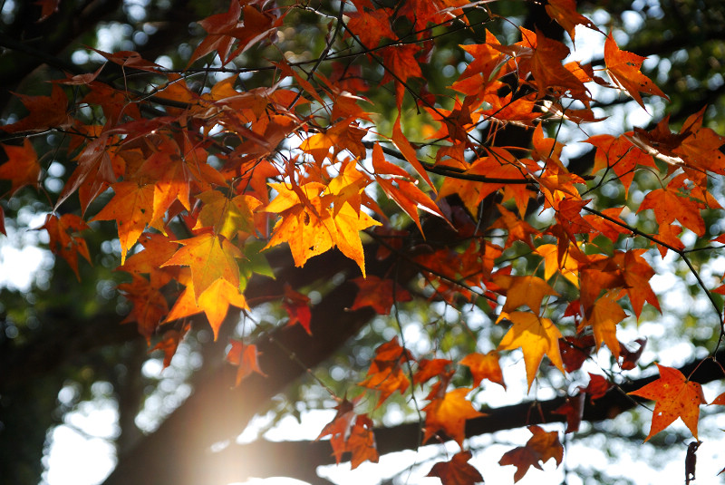 DSC_9104.jpg DSC_9104.jpg