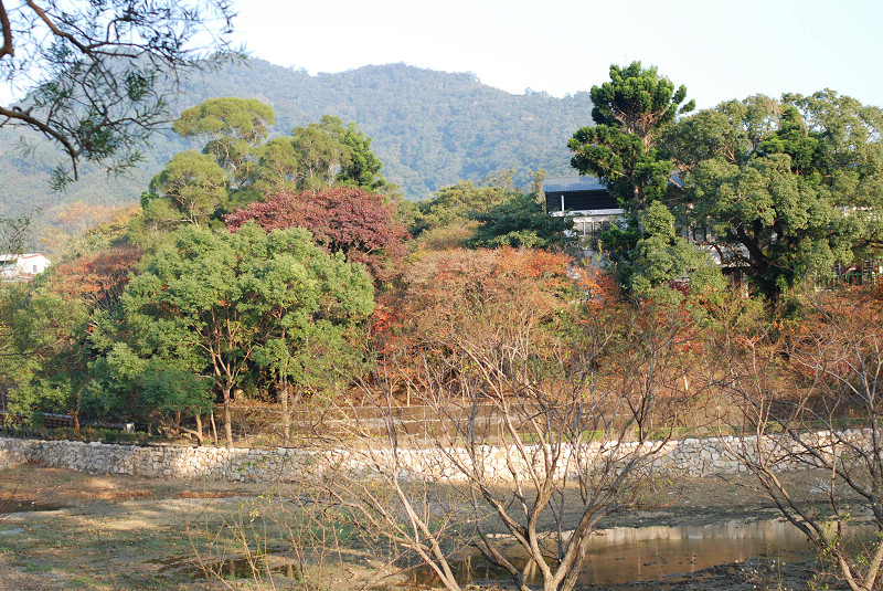 DSC_9149.jpg DSC_9149.jpg