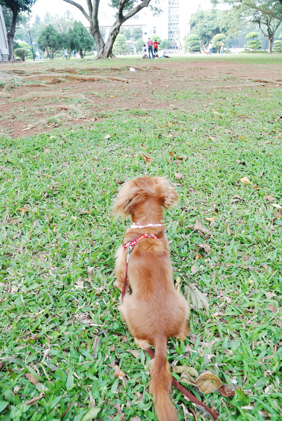 DSC_2248.jpg DSC_2248.jpg