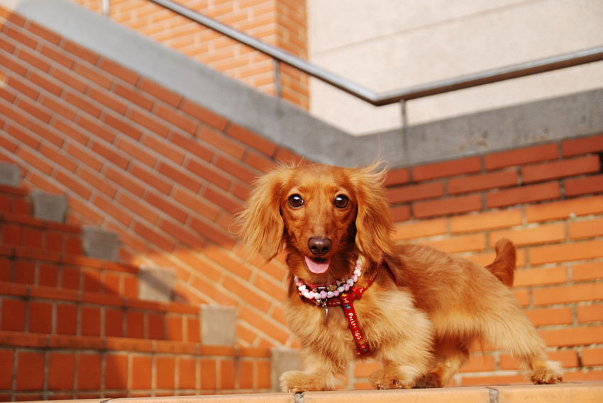 DSC_2265.jpg DSC_2265.jpg