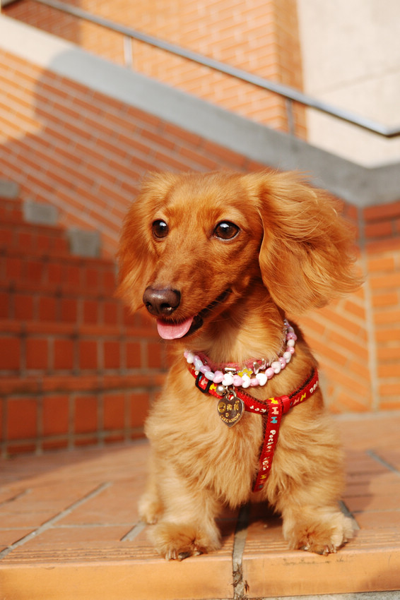 DSC_2273.jpg DSC_2273.jpg