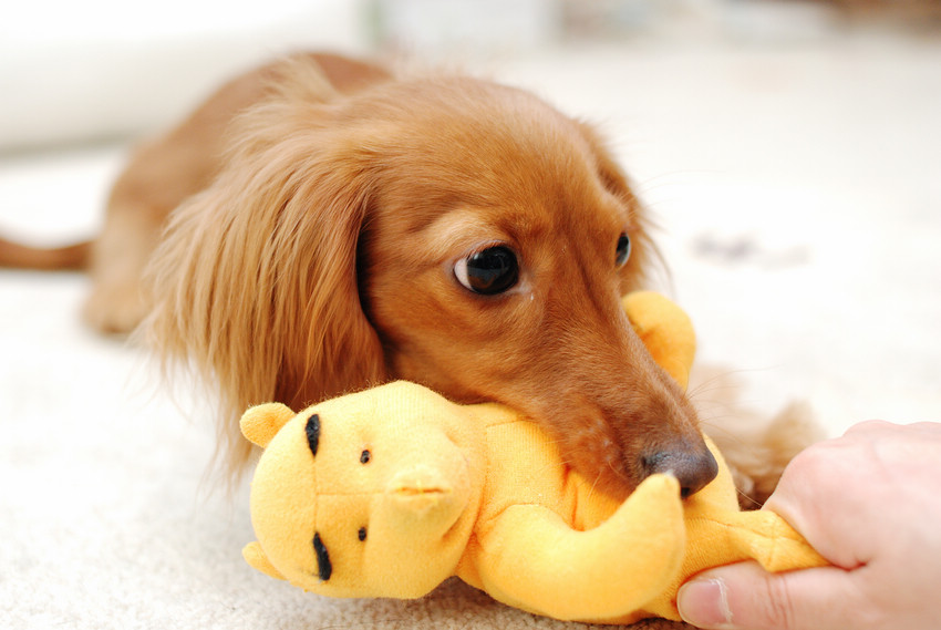 DSC_2605.jpg DSC_2605.jpg