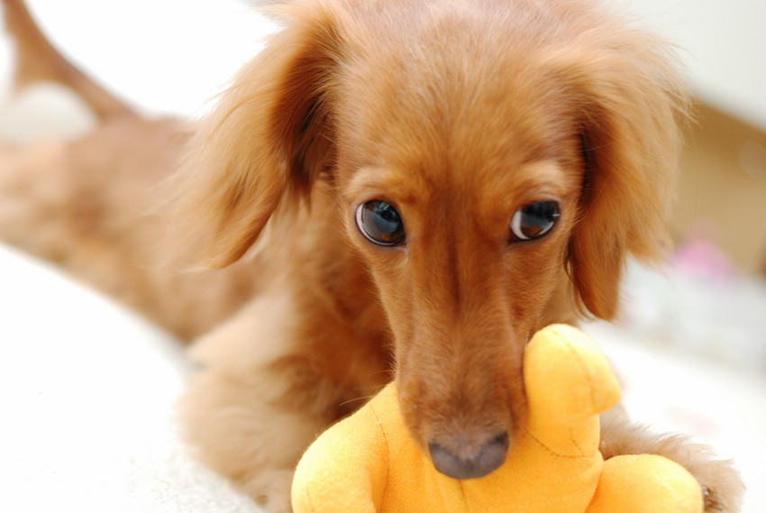 DSC_2606.jpg DSC_2606.jpg