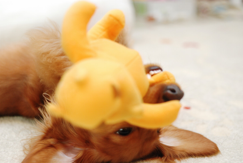 DSC_2607.jpg DSC_2607.jpg