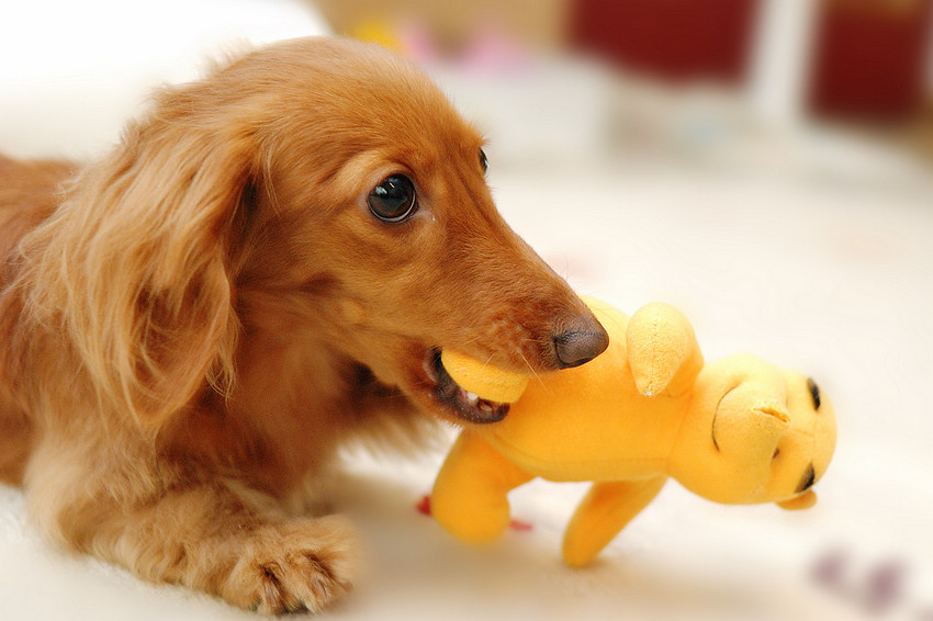 DSC_2608.jpg DSC_2608.jpg