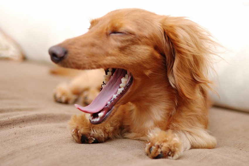 DSC_2681.jpg DSC_2681.jpg