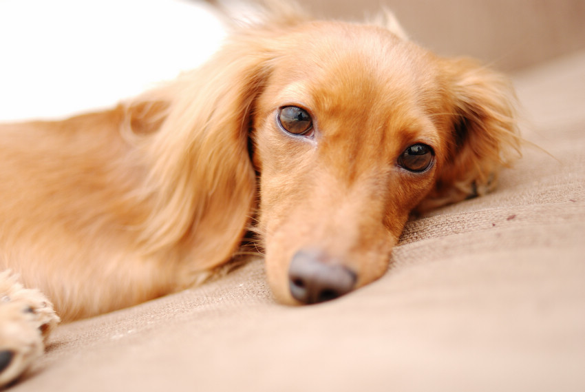 DSC_2689.jpg DSC_2689.jpg