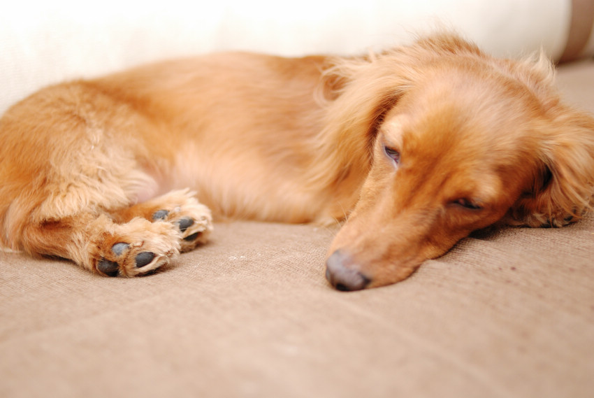 DSC_2693.jpg DSC_2693.jpg