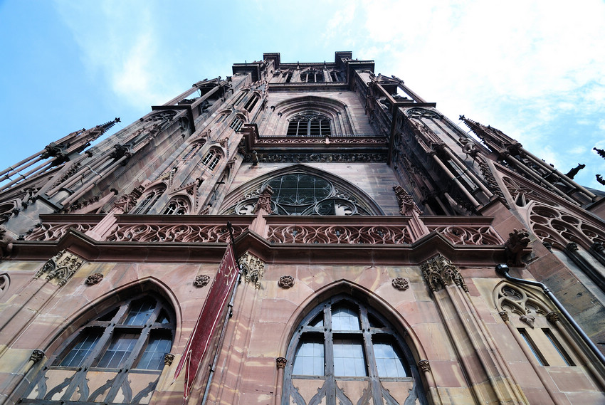 DSC_5981.jpg DSC_5981.jpg