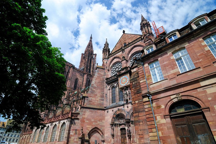 DSC_6017.jpg DSC_6017.jpg