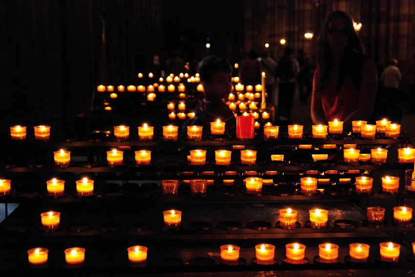 DSC_6135.jpg DSC_6135.jpg