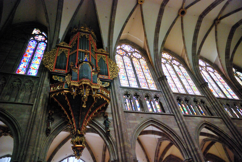 DSC_6138.jpg DSC_6138.jpg