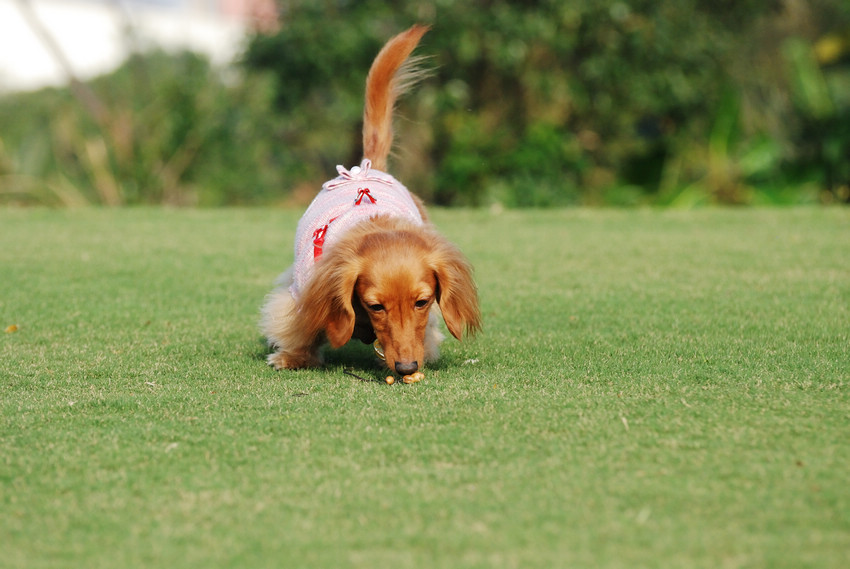 DSC_0291.jpg DSC_0291.jpg