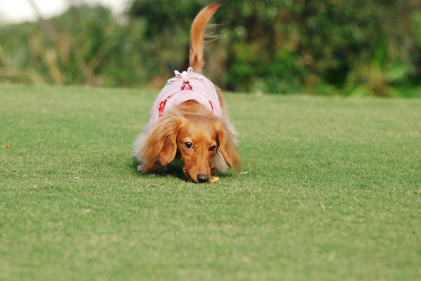 DSC_0292.jpg DSC_0292.jpg