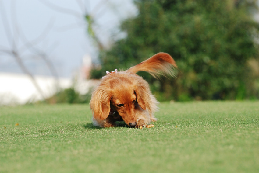 DSC_0295.jpg DSC_0295.jpg