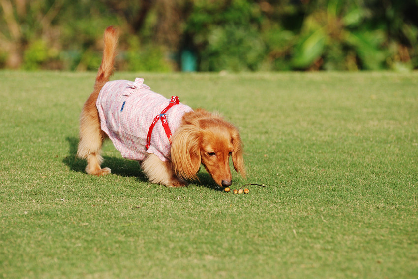 DSC_0301.jpg DSC_0301.jpg