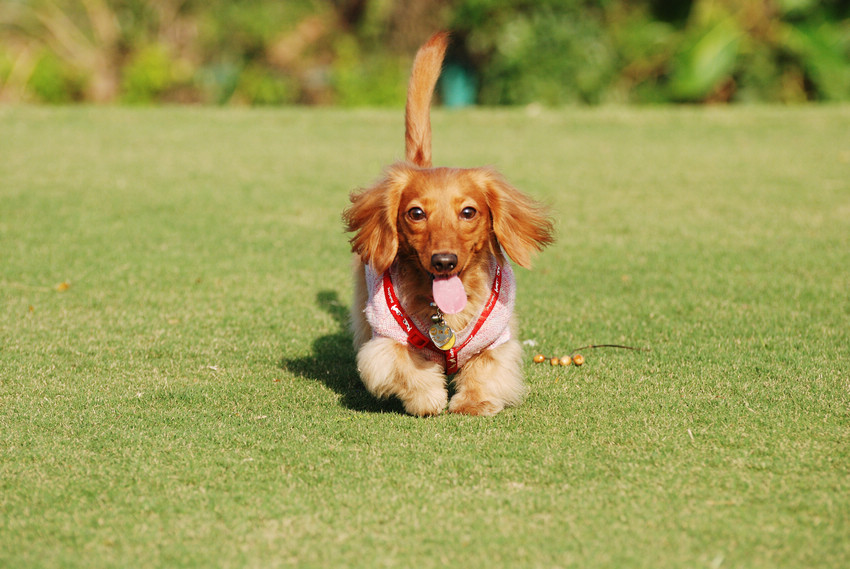 DSC_0302.jpg DSC_0302.jpg