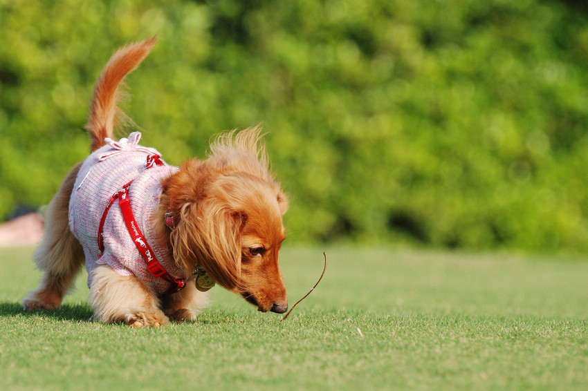 DSC_0306.jpg DSC_0306.jpg