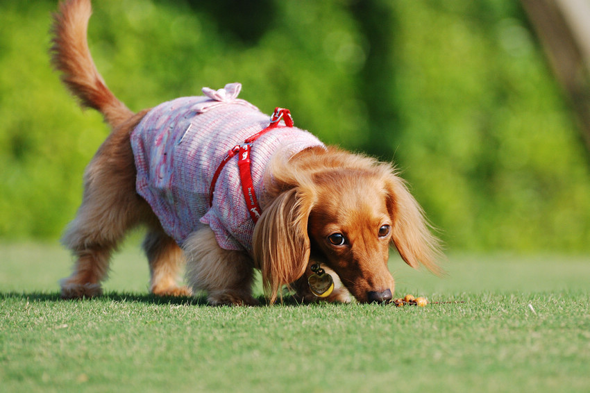 DSC_0312.jpg DSC_0312.jpg