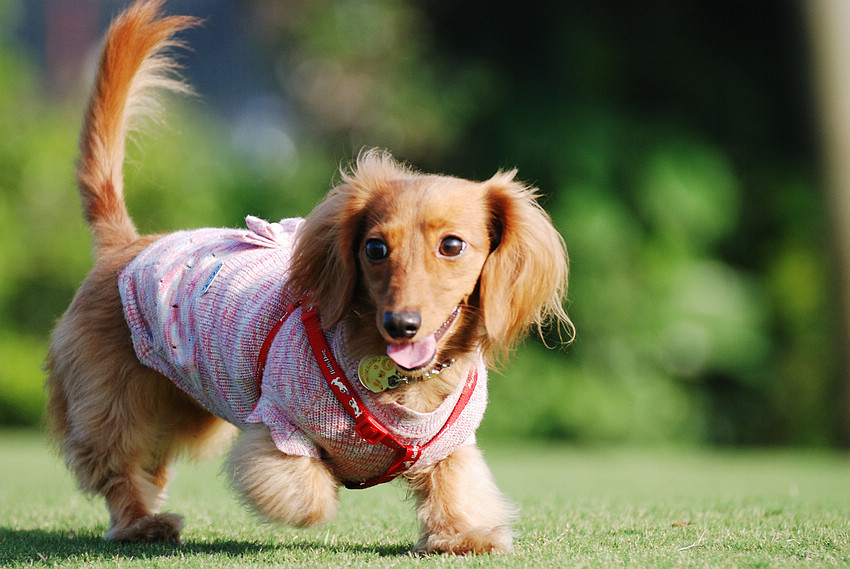 DSC_0313.jpg DSC_0313.jpg