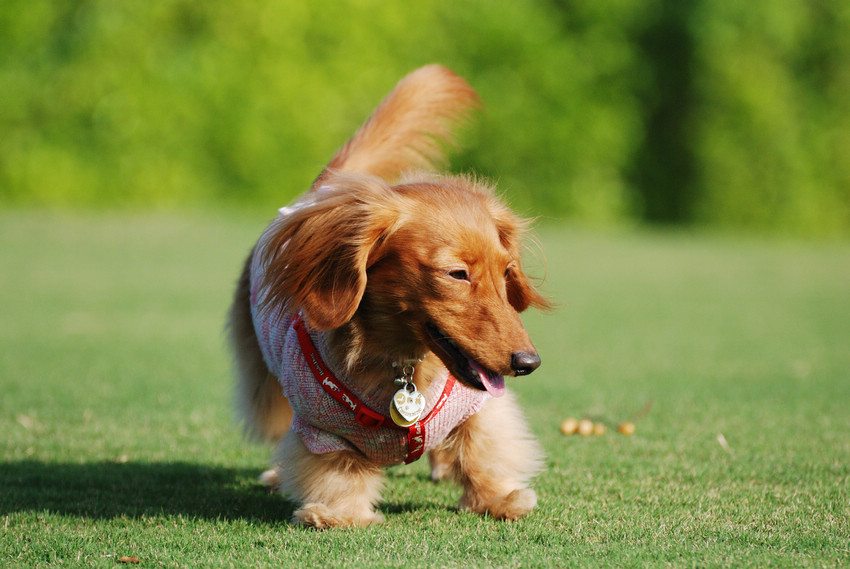 DSC_0318.jpg DSC_0318.jpg